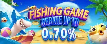 777zp Live Table Cashback